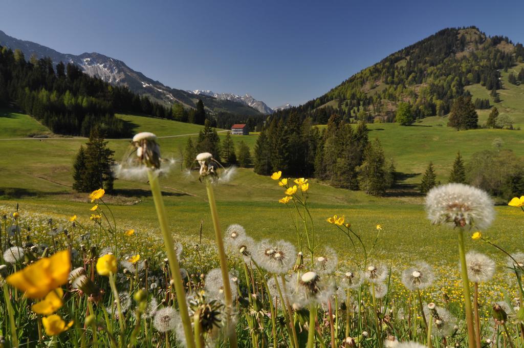 Landhotel Berghof باد هينديلانغ الغرفة الصورة